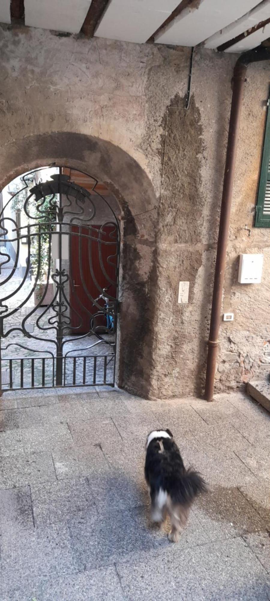 Anna'S Home ** Campione dʼItalia Exterior foto
